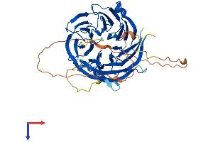 Diphthamide Biosynthesis 7 (DPH7) (AA 1-452) protein (His tag)