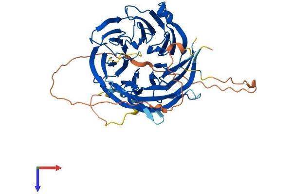 Diphthamide Biosynthesis 7 (DPH7) (AA 1-452) protein (His tag)