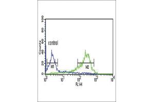 Flow Cytometry (FACS) image for anti-Hyaluronan and Proteoglycan Link Protein 1 (HAPLN1) antibody (ABIN3004323)