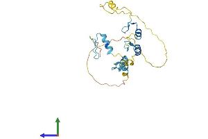 Protein Structure (PS) image for JAZF Zinc Finger 1 (JAZF1) (AA 1-243) protein (His tag) (ABIN7558462)