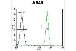 Flow Cytometry (FACS) image for anti-Insulin-Like Growth Factor 1 (IGF1) (AA 115-144), (C-Term) antibody (ABIN658020)
