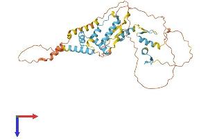 ZSCAN1 Protein (AA 1-408) (His tag)