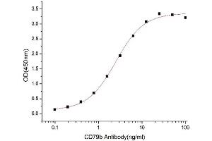 Activity Assay (AcA) image for CD79b Molecule, Immunoglobulin-Associated beta (CD79B) (AA 29-159) (Active) protein (His tag) (ABIN7607447)