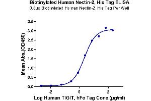 ELISA image for Poliovirus Receptor-Related 2 (Herpesvirus Entry Mediator B) (PVRL2) (AA 32-360) protein (His-Avi Tag,Biotin) (ABIN7275310)