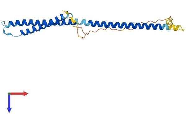 MED22 Protein (AA 1-200) (His tag)
