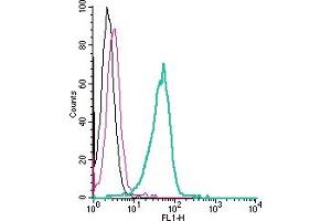 Cell surface detection of GLUT8 by indirect flow cytometry in live intact human  monocytic leukemia cell line: + goat-anti-rabbit-FITC.