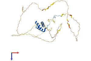 HOXA1 Protein (AA 1-331) (His tag)