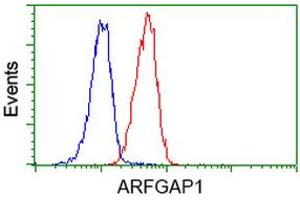 Image no. 5 for anti-ADP-Ribosylation Factor GTPase Activating Protein 1 (ARFGAP1) antibody (ABIN1496680) (ARFGAP1 Antikörper)