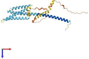 HVCN1 Protein (AA 1-273) (His tag)