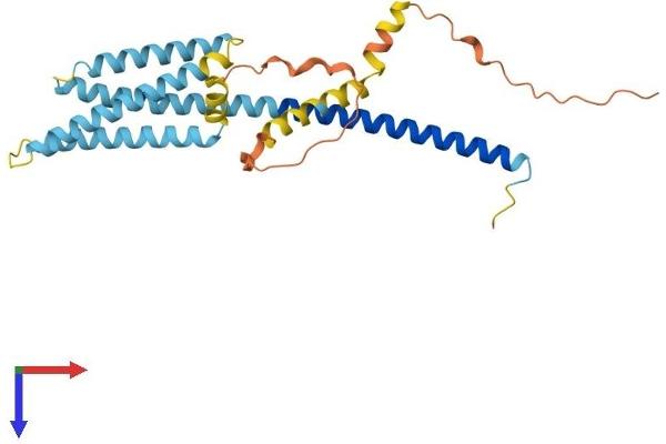 HVCN1 Protein (AA 1-273) (His tag)