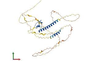 Protein Structure (PS) image for DMRT-Like Family C2 (DMRTC2) (AA 1-370) protein (His tag) (ABIN7559331)