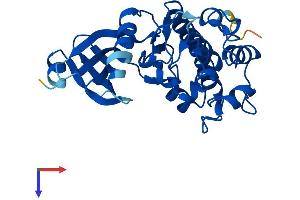 TSSK6 Protein (AA 1-273) (His tag)