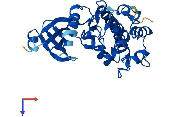 TSSK6 Protein (AA 1-273) (His tag)
