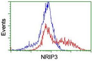 HEK293T cells transfected with either RC202937 overexpress plasmid (Red) or empty vector control plasmid (Blue) were immunostained by anti-NRIP3 antibody (ABIN2455893), and then analyzed by flow cytometry. (NRIP3 Antikörper)