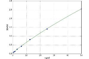 Prolyl 4-Hydroxylase, alpha Polypeptide II (P4HA2) ELISA Kit