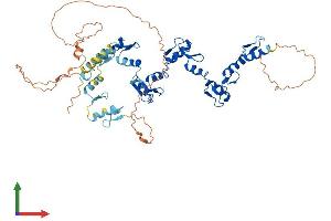 Protein Structure (PS) image for Zinc Finger Protein 548 (ZNF548) (AA 1-533) protein (His tag) (ABIN7545334)