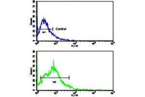 Flow cytometric analysis of HL-60 cells using BACE2 polyclonal antibody (bottom histogram) compared to a negative control cell (top histogram). (BACE2 Antikörper  (Internal Region))