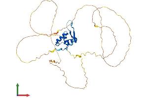 AlphaFold protein structure predicition of Human Recombinant FOXF1 Protein, UniprotID Q12946 (FOXF1 Protein (AA 1-379) (His tag))