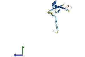 Protein Structure (PS) image for Cut-Like Homeobox 1 (CUX1) (AA 1-678) protein (His tag) (ABIN7556716)