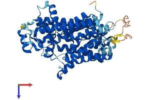 PIGV Protein (AA 1-493) (His tag)