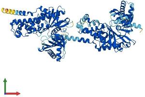 Protein Structure (PS) image for Hexokinase 2 (HK2) (AA 1-917) protein (His tag) (ABIN7562164)