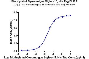 SIGLEC15 Protein (AA 60-322) (His-Avi Tag,Biotin)