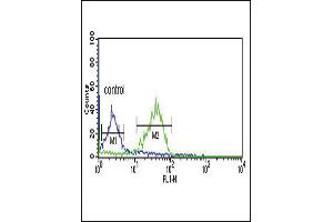 Flow Cytometry (FACS) image for anti-Wingless-Type MMTV Integration Site Family, Member 1 (WNT1) (AA 260-288), (C-Term) antibody (ABIN390755)