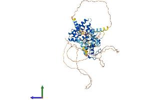 Protein Structure (PS) image for Nuclear Receptor Subfamily 1, Group D, Member 2 (NR1D2) (AA 1-576) protein (His tag) (ABIN7563870)
