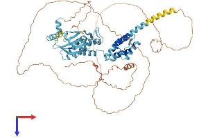 PNMA5 Protein (AA 1-618) (His tag)