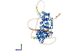 Protein Structure (PS) image for Protein Phosphatase 2A 48 KDa Regulatory Subunit (PPP2R3B) (AA 1-575) protein (His tag) (ABIN7550590)