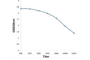 Antigen: 0. (H13 Antikörper  (AA 251-350))