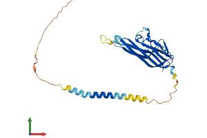 Protein Structure (PS) image for Tumor Necrosis Factor (Ligand) Superfamily, Member 15 (TNFSF15) (AA 1-251) protein (His tag) (ABIN7544542)