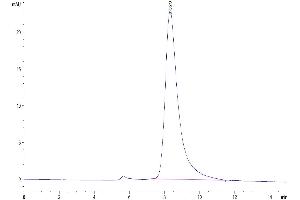 The purity of Human IL-3 is greater than 95 % as determined by SEC-HPLC. (IL-3 Protein (AA 20-152) (Fc Tag))