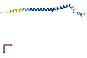 AlphaFold protein structure predicition of Human Recombinant DNM1P34 Protein, UniprotID Q6PK57
