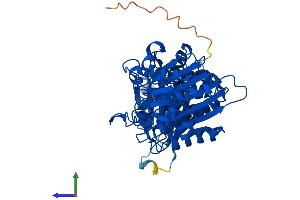 Protein Structure (PS) image for Aminopeptidase-Like 1 (NPEPL1) (AA 1-523) protein (His tag) (ABIN7550706)