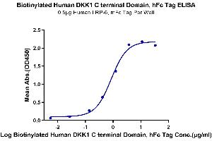 ELISA image for Dickkopf Homolog 1 (DKK1) (AA 178-266), (C-Term) protein (Fc-Avi Tag,Biotin) (ABIN7274475)