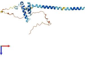 DNAJC30 Protein (AA 1-226) (His tag)