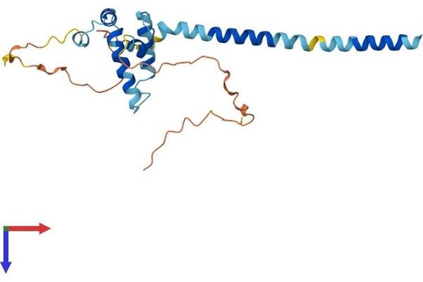 DNAJC30 Protein (AA 1-226) (His tag)