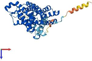 SLC35A1 Protein (AA 1-336) (His tag)
