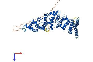 FBXO47 Protein (AA 1-452) (His tag)