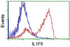 HEK293T cells transfected with either RC219328 overexpress plasmid (Red) or empty vector control plasmid (Blue) were immunostained by anti-IL1F6 antibody (ABIN2453184), and then analyzed by flow cytometry. (IL36A/IL1F6 Antikörper)