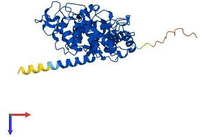 PGGT1B Protein (AA 1-377) (His tag)