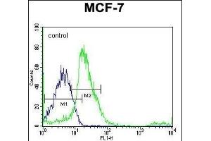 SRC Antibody (N-term) flow cytometric analysis of MCF-7 cells (right histogram) compared to a negative control cell (left histogram). (Src Antikörper  (N-Term))