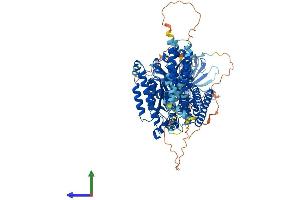 Protein Structure (PS) image for Inositol Polyphosphate-4-Phosphatase, Type II, 105kDa (INPP4B) (AA 1-924) protein (His tag) (ABIN7554159)