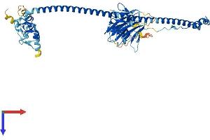 TRIM22 Protein (AA 1-498) (His tag)