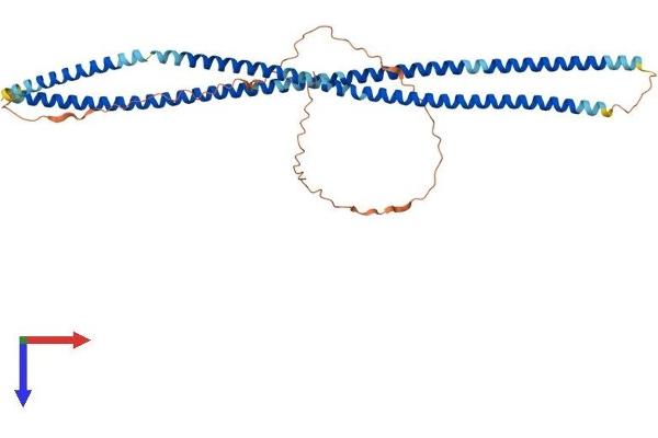 BFSP2 Protein (AA 1-416) (His tag)