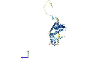 Protein Structure (PS) image for DnaJ (Hsp40) Homolog, Subfamily C, Member 2 (DNAJC2) (AA 1-621) protein (His tag) (ABIN7553686)