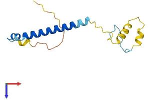 PAIP2 Protein (AA 1-124) (His tag)