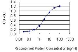 Detection limit for recombinant GST tagged GGT1 is 0. (GGT1 Antikörper  (AA 381-470))