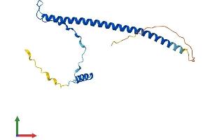Protein Structure (PS) image for Prkr Interacting Protein 1 (IL11 Inducible) (PRKRIP1) (AA 1-184) protein (His tag) (ABIN7550738)